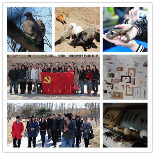 http://earth.ucas.ac.cn/upload/images/20151113/参观北京市野生动物救护中心.png